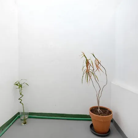 Apartment Vista